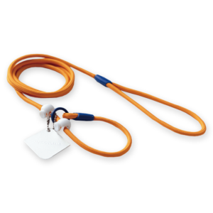 Maogou Blue Dog Slip Lead in Pumpkin Orange - One Size