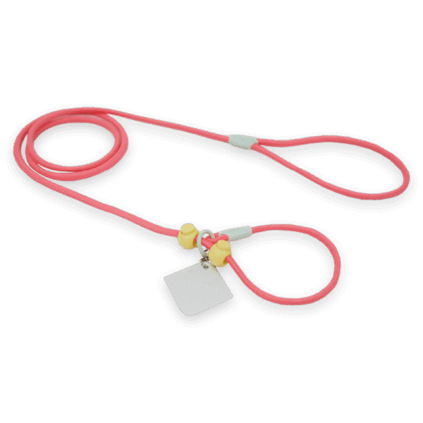 Maogou Blue Dog Slip Lead in Jelly Pink – One Size