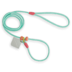 Maogou Blue Dog Slip Lead in Mint Green - One Size