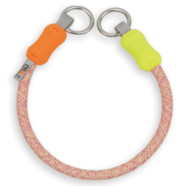 Maogou Blue Souffle Dog Collar in Brown