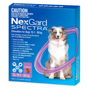 Nexgard Spectra Chews for Large Dogs 15.1-30kg - 6 Pack