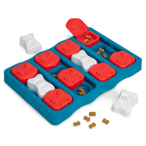 Nina Ottosson Dog Brick Puzzle Dog Toy - One Size