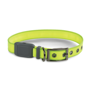 Nite Ize Nite Rechargeable LED Dog Collar - Medium
