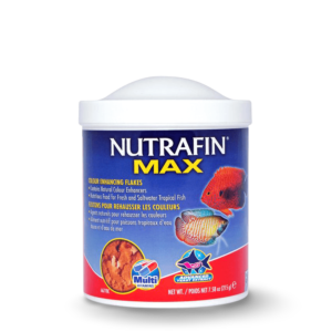 Nutrafin Max Tropical Colour Enhance Flakes - 215g