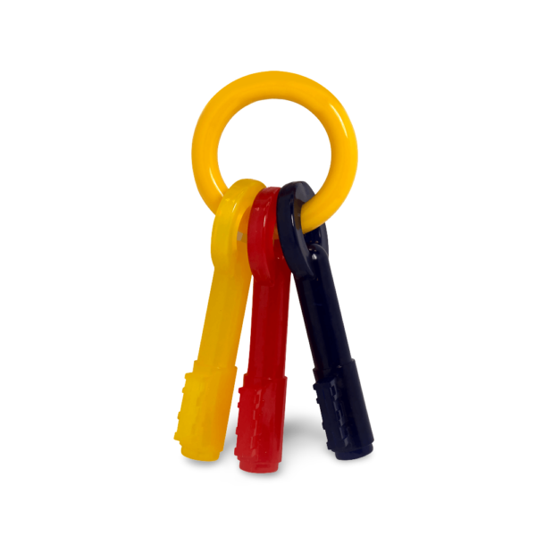 Nylabone Puppy Chew Alternative Keys Bacon Dog Toy – Large