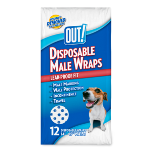 Out Disposable Diaper Male - 12 pack