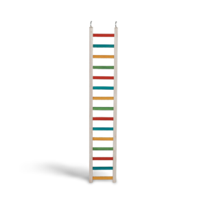 Paradise Parrot Ladder - 61cm