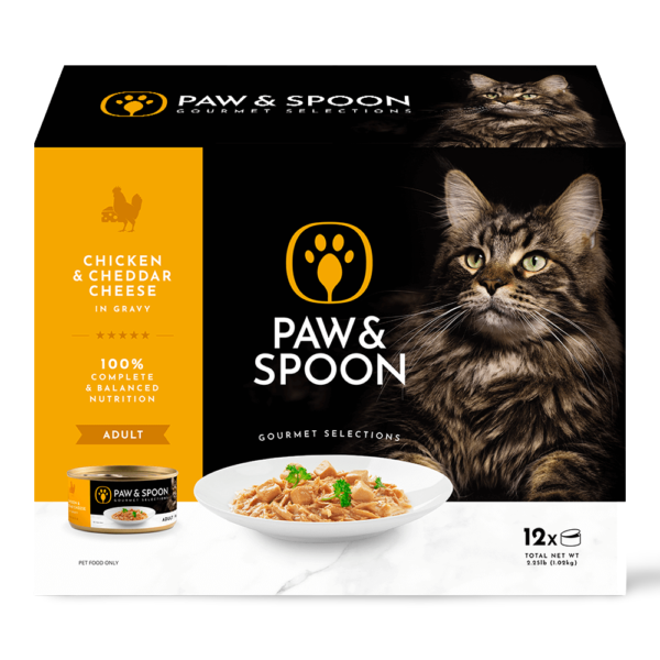 Paw And Spoon Chicken and Cheddar Cheese Adult Wet Cat Food Cans