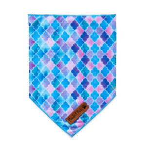 Pawfect Pals Dont Quit Your Daydream Bandana - Small