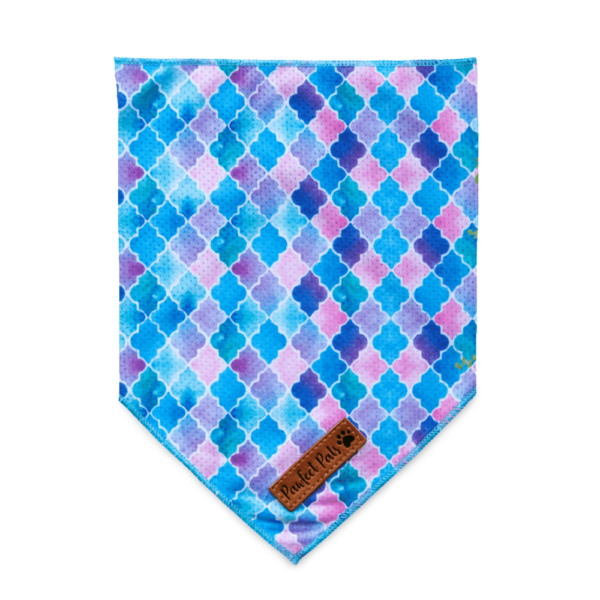 Pawfect Pals Dont Quit Your Daydream Bandana – Small