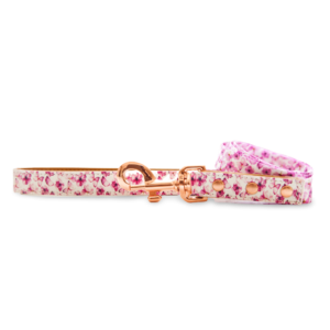 Pawfect Pals You Give Me Butterflies Lead - Small