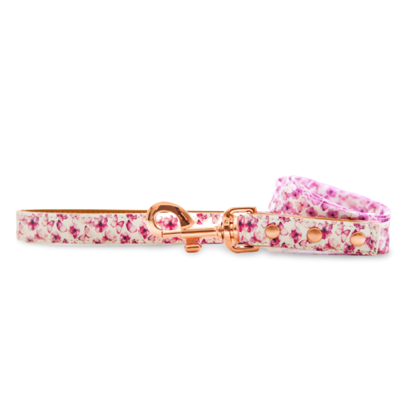 Pawfect Pals You Give Me Butterflies Lead – Small