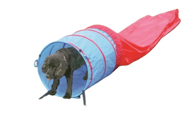 Pawise Agility Tunnel – One Size