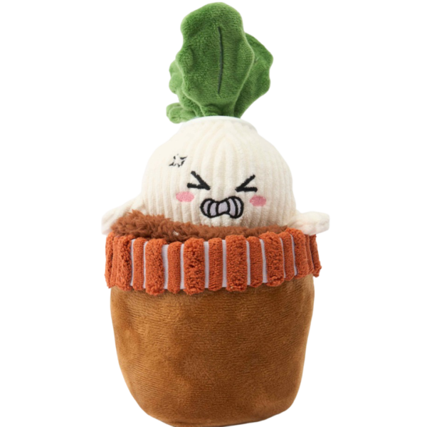 Paws For Life 2 In 1 Radish with TPR Body In Plush Flower Pot Dog Toy – One Size