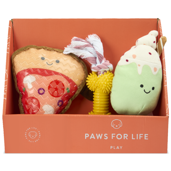 Paws For Life 3 Piece Gift Set Pizza Party Food Dog Toys – One Size