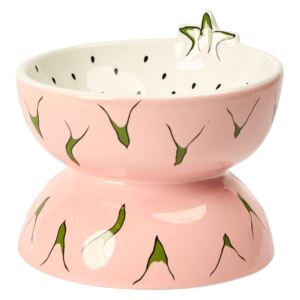 Paws For Life Dragon Fruit Ceramic Pet Bowl - One Size