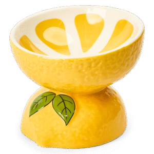 Paws For Life Lemon Ceramic Pet Bowl - 12.7cm