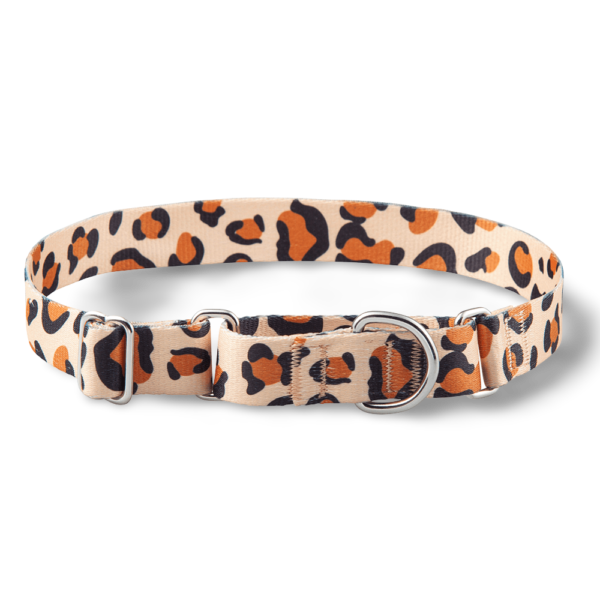Paws For Life Martingale Dog Collar in Leopard
