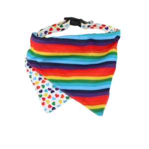 Paws For Life Pride Bandana Collar - large
