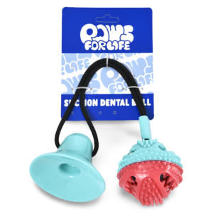 Paws For Life Suction Dental Ball - One Size