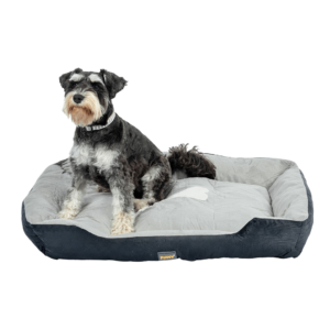 Pawz Washable Dog Cushion Black - X Large