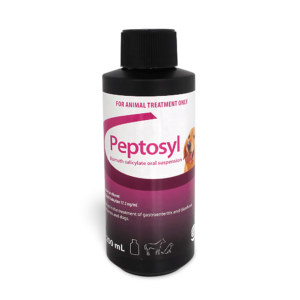 Peptosyl Digestive Support Liquid - 200ml