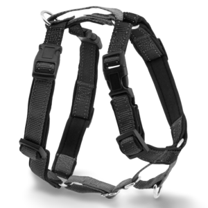 Petsafe 3 in 1 Dog Harness & Car Restraint in Black - Large