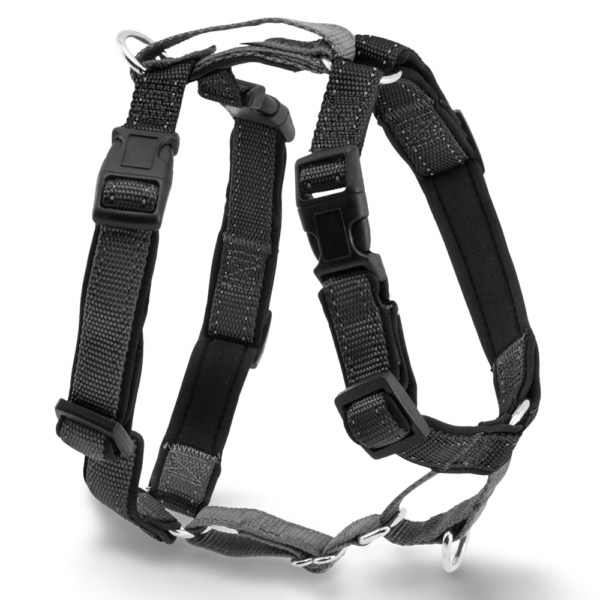 Petsafe 3 in 1 Dog Harness & Car Restraint in Black