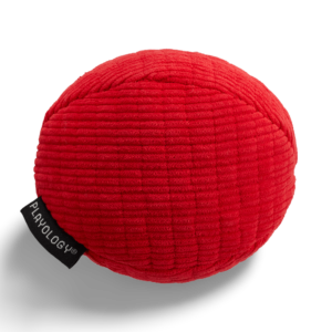 Playology Plush Ball Squeaky Dog Toy Beef Scented Dog Toy - Small