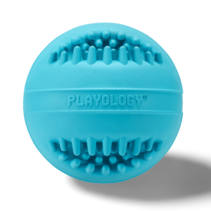Playology Senior Dental Chew Ball Peanut Butter Scented Dog Toy - Small