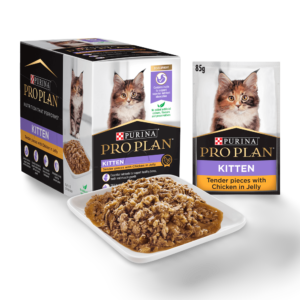 Pro Plan Kitten Chicken Jelly Wet Cat Food Pouches - 12 x 85g