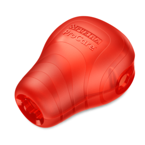 Procare Tough Chew Dog Toy - One Size