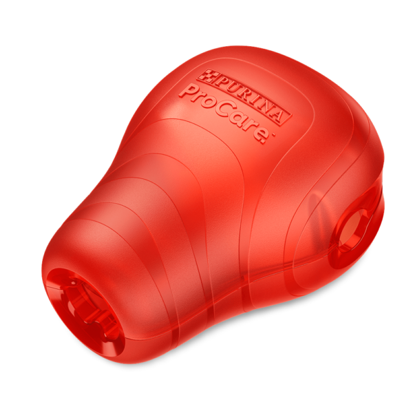 Procare Tough Chew Dog Toy – One Size