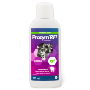 Prozym Rf2 Dental Solution - 250ml