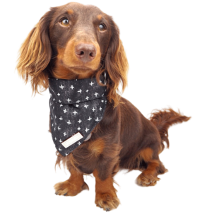 Pupstyle Blessed Bandana - large