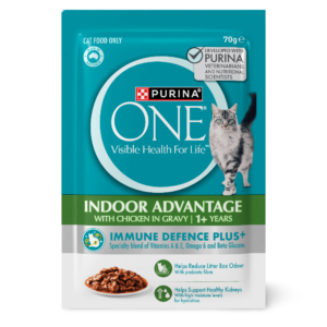 Purina One Indoor Chicken in Gravy Adult Wet Cat Food Pouches - 12 x 70g