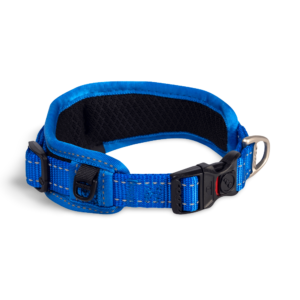 Rogz Padded Dog Collar in Blue - Large