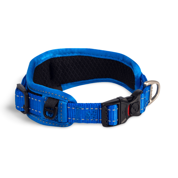Rogz Padded Dog Collar in Blue – Large