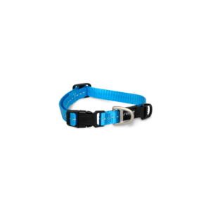 Rogz Classic Dog Collar in Turquoise - Small