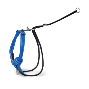 Rogz Control Stop Pull Dog Harness in Blue - Large
