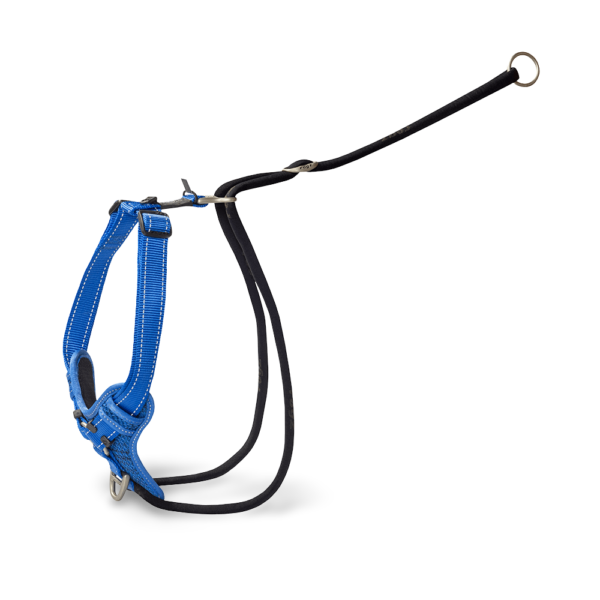 Rogz Control Stop Pull Dog Harness in Blue