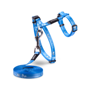 Rogz Kiddy Cat Harness & Lead in Royal Birds - Small