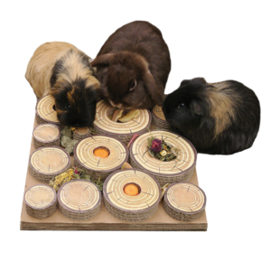Rosewood Maze A Log Treat Challenge Cardboard Small Pet Toy - One Size