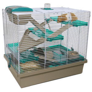 Rosewood Pico Xl Translucent Teal - each