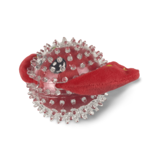 Ruff Play Plush Stingray Dog Toy - One Size