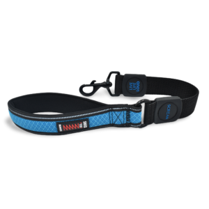 Scream Reflective Bungee Dog Lead in Loud Blue - Size 1