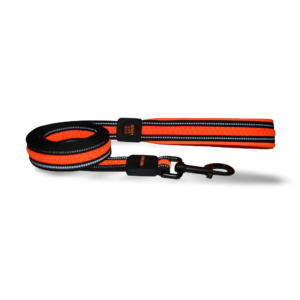 Scream Reflective Padded Dog Lead in Orange - One Size