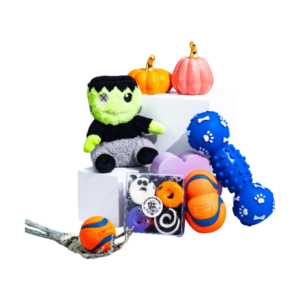The Curious Box The Spooky Curious Big Dog Box - Halloween