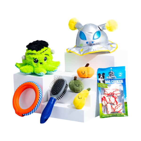 The Curious Box The Spooky Curious Little Dog Box – Halloween