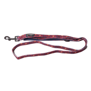 The Stubby Club AFL Brisbane Lions Dog Lead - One Size